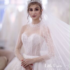 Long Sleeves Princess style